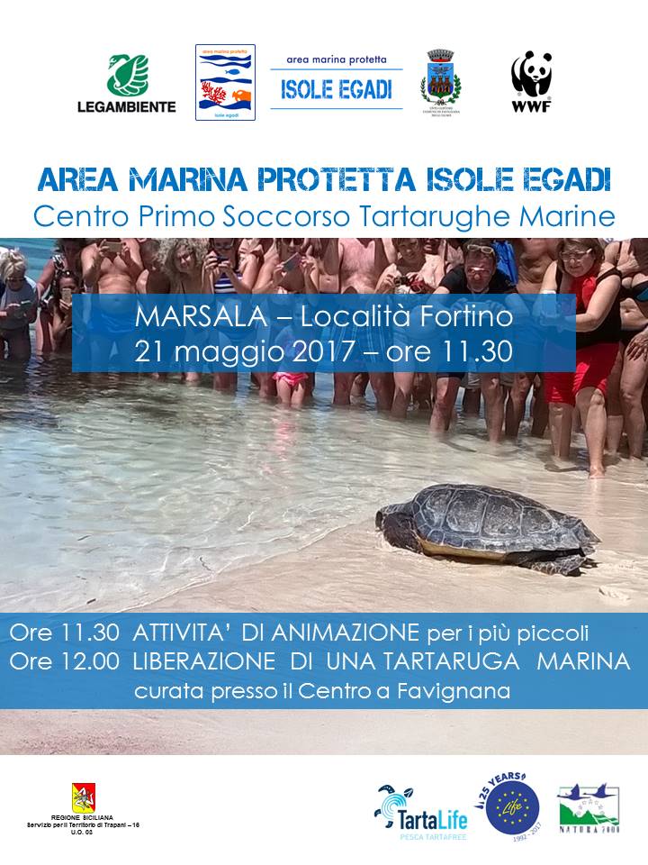 Stefano Donati tweet media