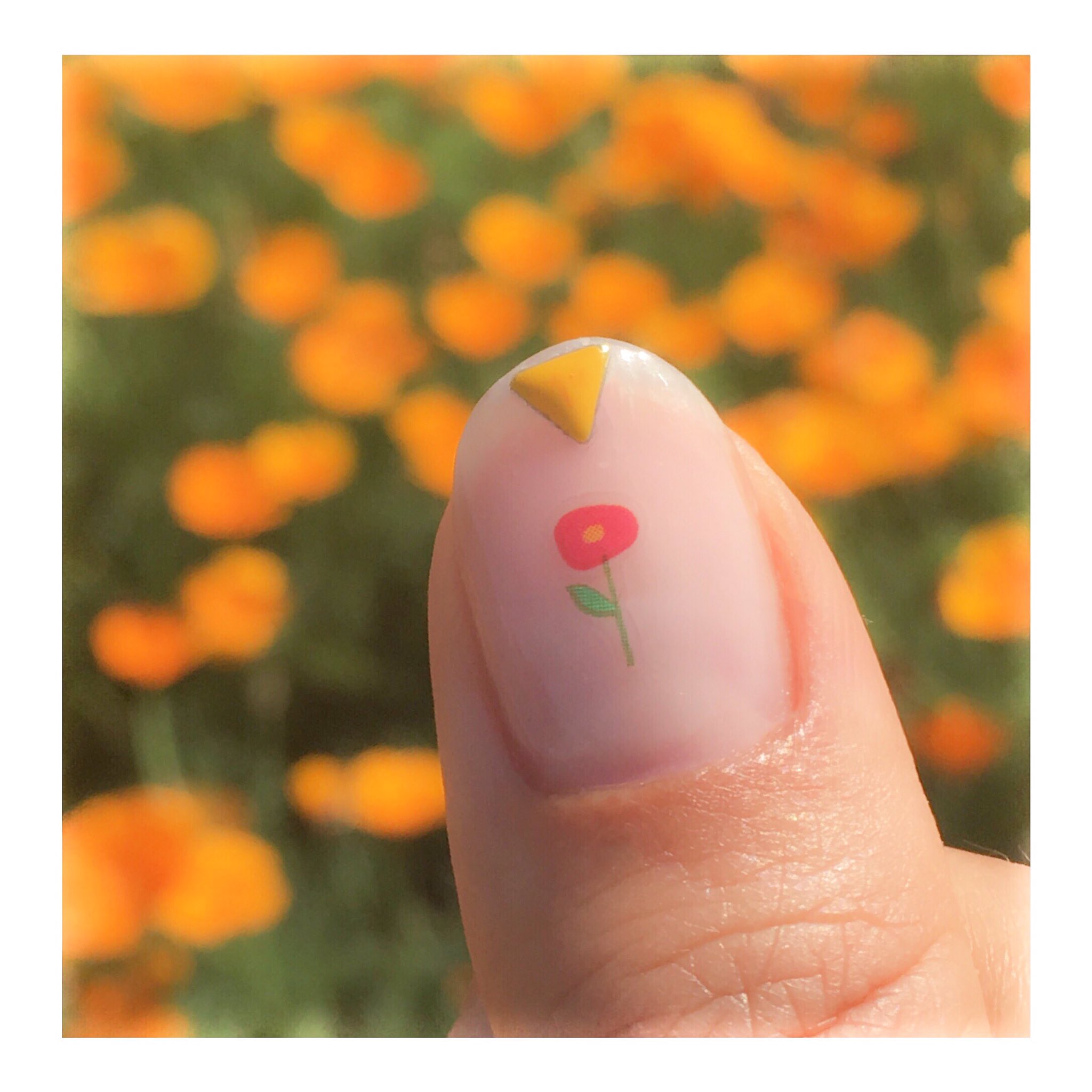 もふnail ポピー プーさんネイル セルフネイラー様たちとポピー畑に行ってきた時のネイル ミ ミ 全面に塗ったのはベースコートのみというズボラシールネイル 笑 ティガーやプーさんにポピーをもたせてみました 100均の新作フルールネイルシール