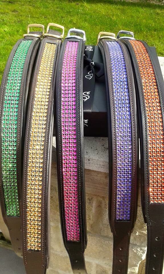 StampedeEq's tweet photo. Dogs wanting to stand out #StampedeEq see our collars today #goodvetguide #dogcelebration #pawsify #pup-hour #WeLoveDogsUSA #GuruPetFood https://t.co/uijo0or5wL