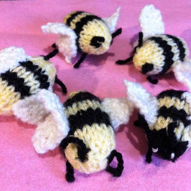 CharlburyWI's tweet photo. Tiny knitted bees made by member Jackie for #Charlbury Museum's upcoming #WeekendOfCraft #http://www.charlbury.info/events/4703 #SewingBee https://t.co/d4qq7DPCdf