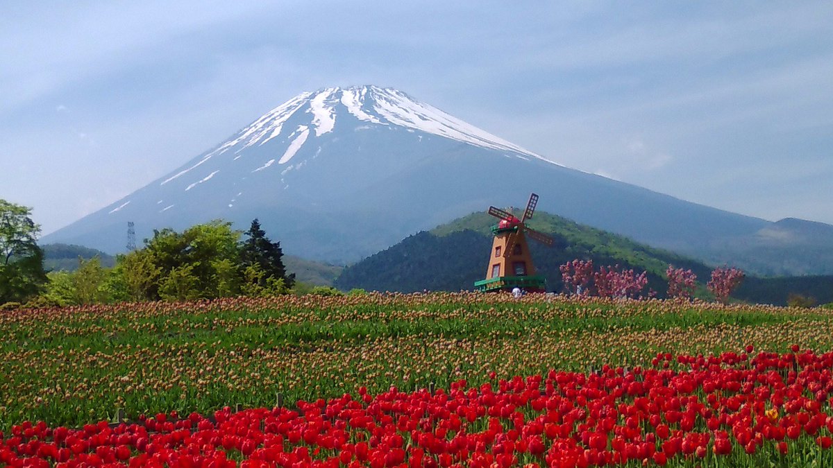 天空のチューリップ祭り