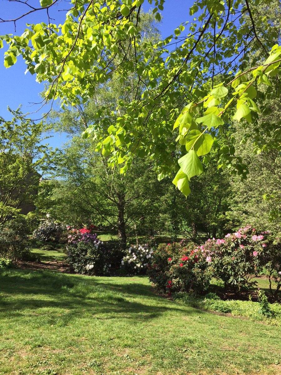 I've written a brief post on what I'm hoping to acheive with ‘Acton in Bloom’... join and share with me! buff.ly/2q4Vq4J