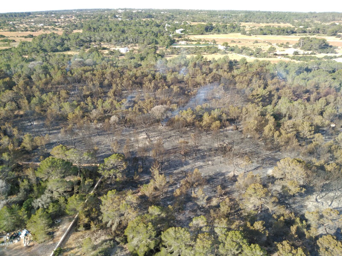 Efectivos del Ibanat continúan trabajando en la extinción del incendio de Formentera