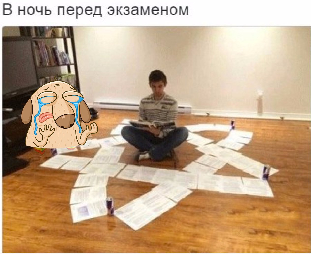 Ночь перед экзаменом