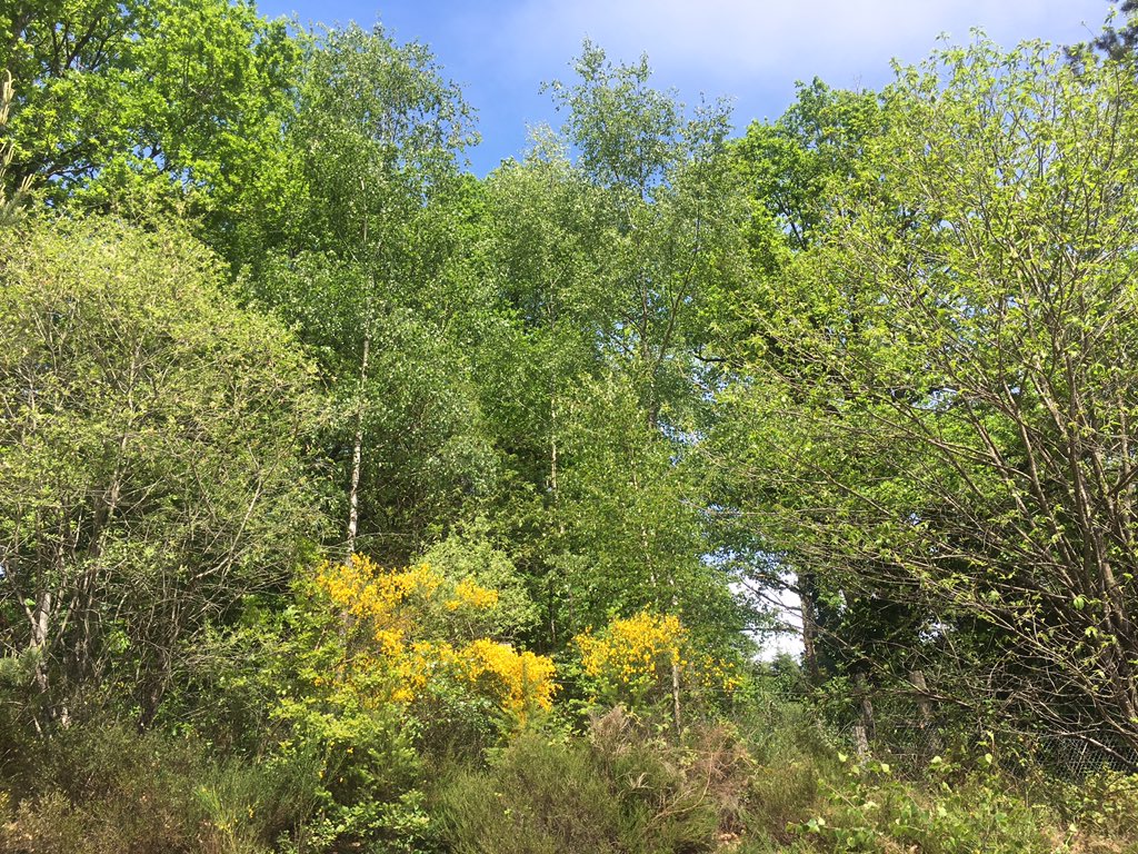 won't be long til @forest_view_ is up there with the big boys with everything Dan &amp; Amelia have planed. If planing French trip best book now