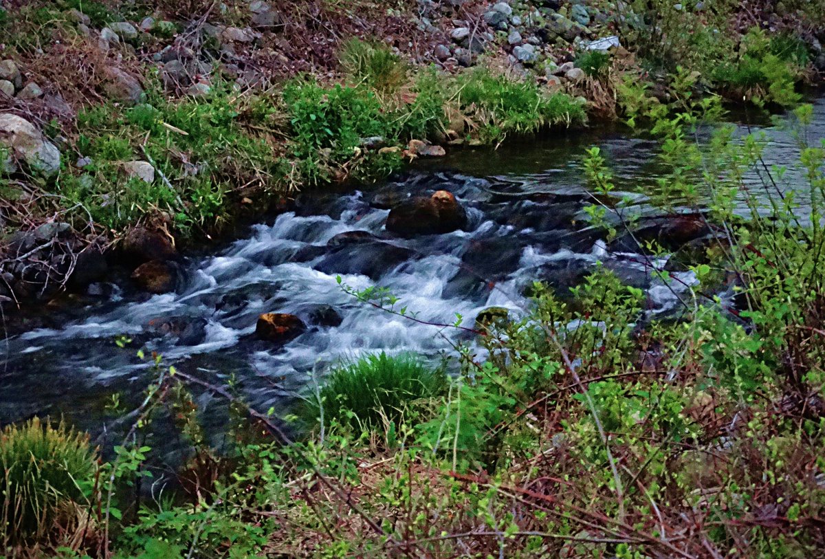 ProjectHumanist's tweet image. Be unhurried and unhindered. THIS is the  moment that IS your life.