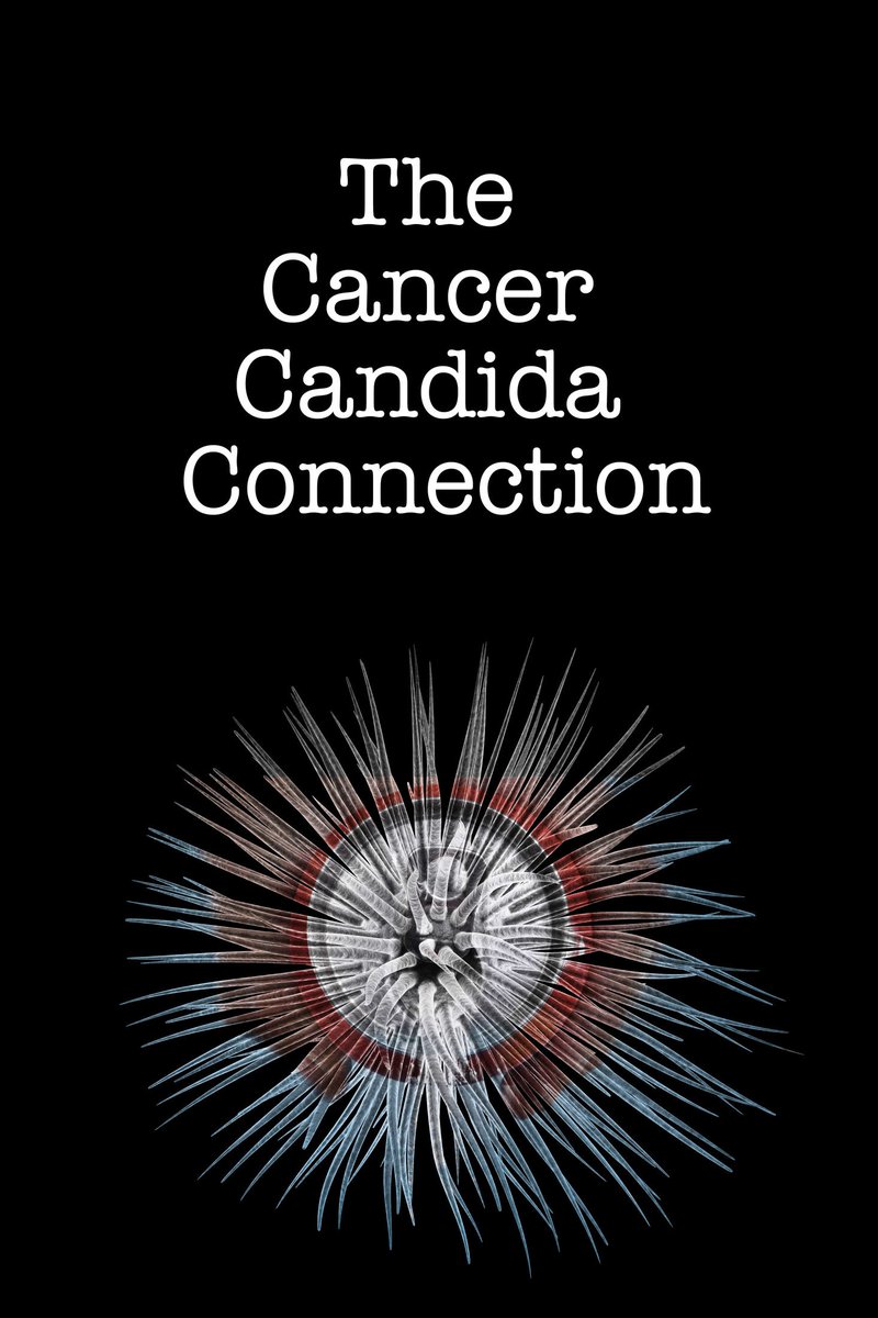 CandidaCancer's tweet image. Countdown to launch of free for 24 hours kindle Ebook Candida Cancer Connection - follow for updates! #cancer #Candida #ebooks