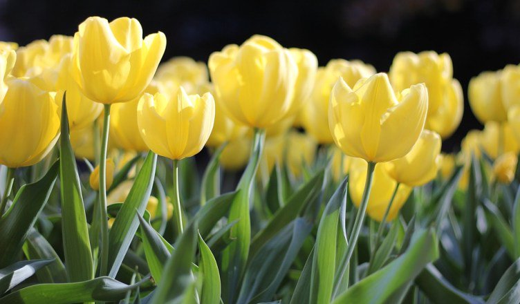 5 Ways to Come Up With Extra Cash this Spring bit.ly/2qDTLGN #moneysaving #FinancialPlanner