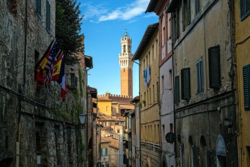 PicStreetFR's tweet photo. Siena, Italy (by John Maloney) / https://t.co/gT6WqKib6l #travel #voyage #photography #tourism https://t.co/2YECKvKf3R