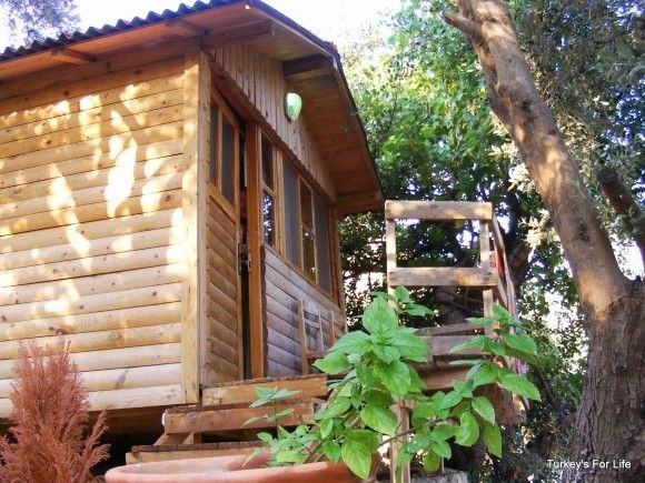 turkeysforlife's tweet photo. Staying At The Beautiful Olive Garden, Kabak #Fethiye https://t.co/F68ThnxyKz https://t.co/JXXyPRJ42q