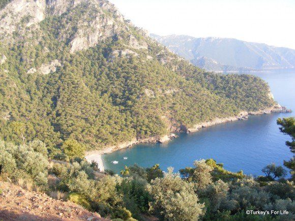 turkeysforlife's tweet photo. Staying At The Beautiful Olive Garden, Kabak #Fethiye https://t.co/F68ThnxyKz https://t.co/JXXyPRJ42q