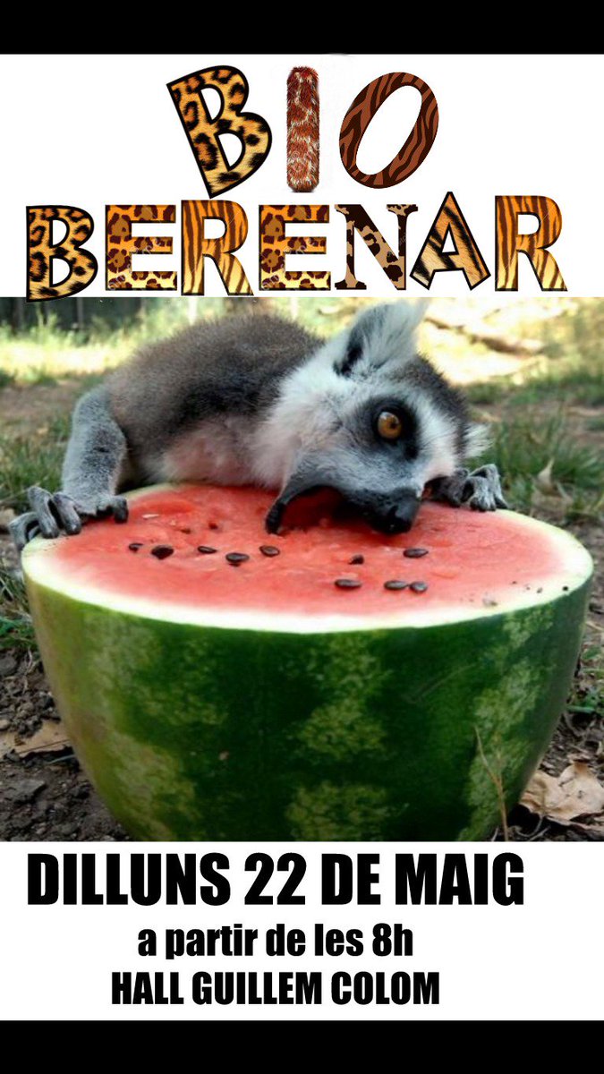 Biofestes's tweet image. Vine dema al bioberenar! Vos esperam a l'entrada del Guillem Colom