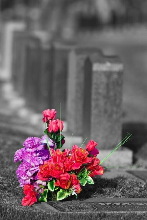 (( يـــا رب ))
ما رحلوا لـنبقى !
همــ سبقـــــونا فقـــط
اللهُم أسألگ أن تفتَح لكل ميـت في قبره باباً تهب منّه نسآئم آلجنّـه لآ يُسد ابدا .*