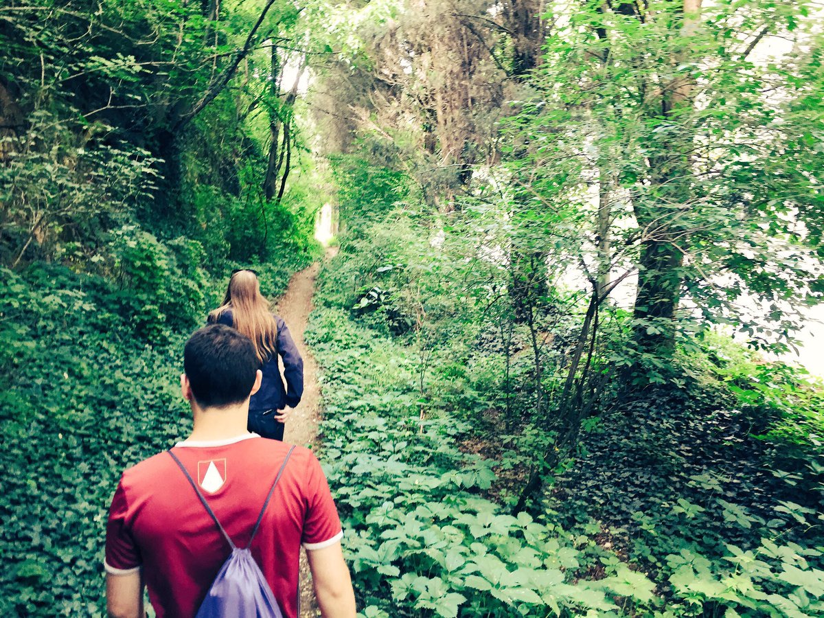 Alex O'Brien tweet media