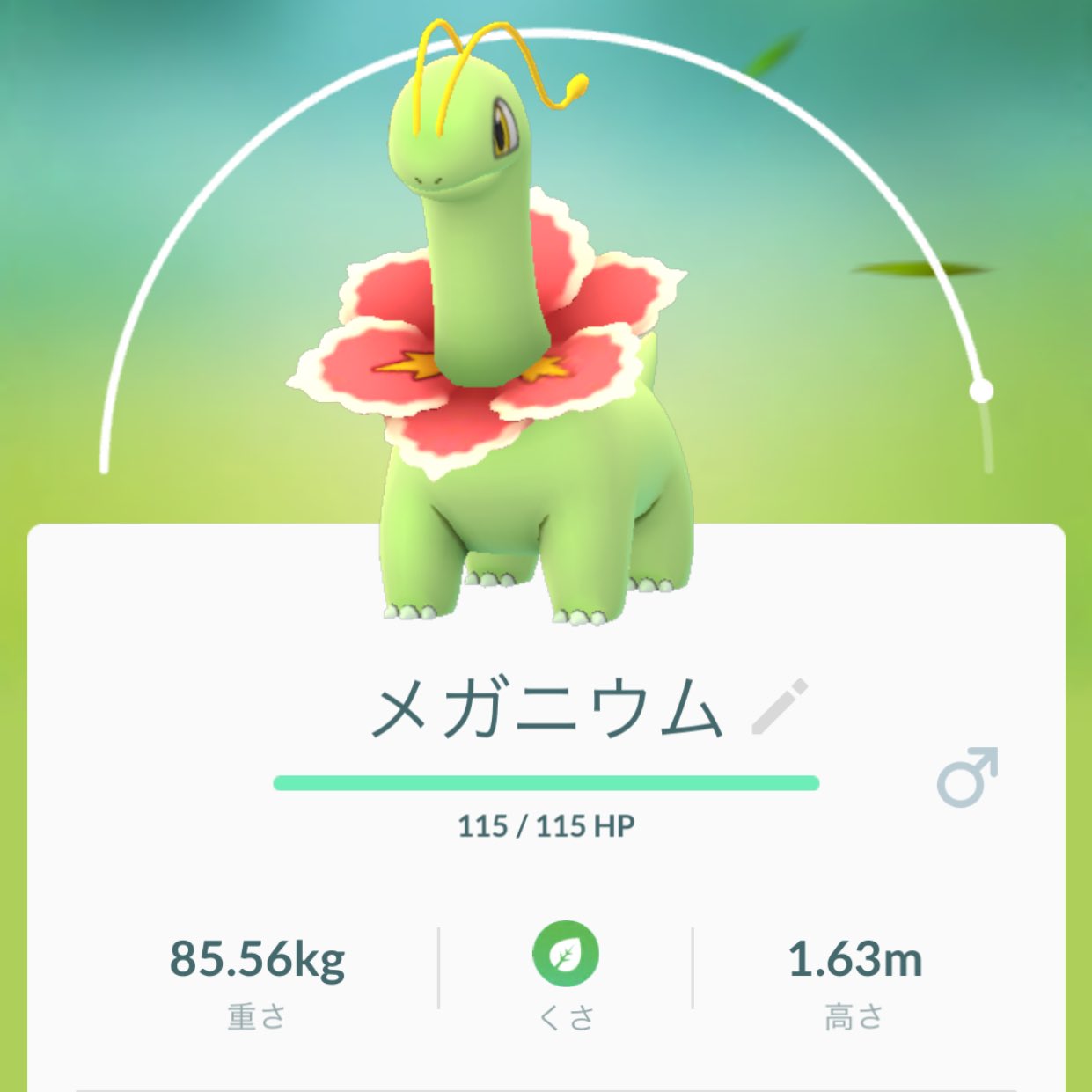 うさ丸 님의 트위터 ポケモンgoで地道に捕まえたり歩いたりして進化させてる ようやくニョロトノとジュゴンとメガニウムに進化 ニョロトノ可愛い ﾟ ﾟ ジュゴンはキレイ W メガニウムたんは 可愛いだね O ﾟ ﾟ O オスメスで見た目変わるの凄いよなぁ