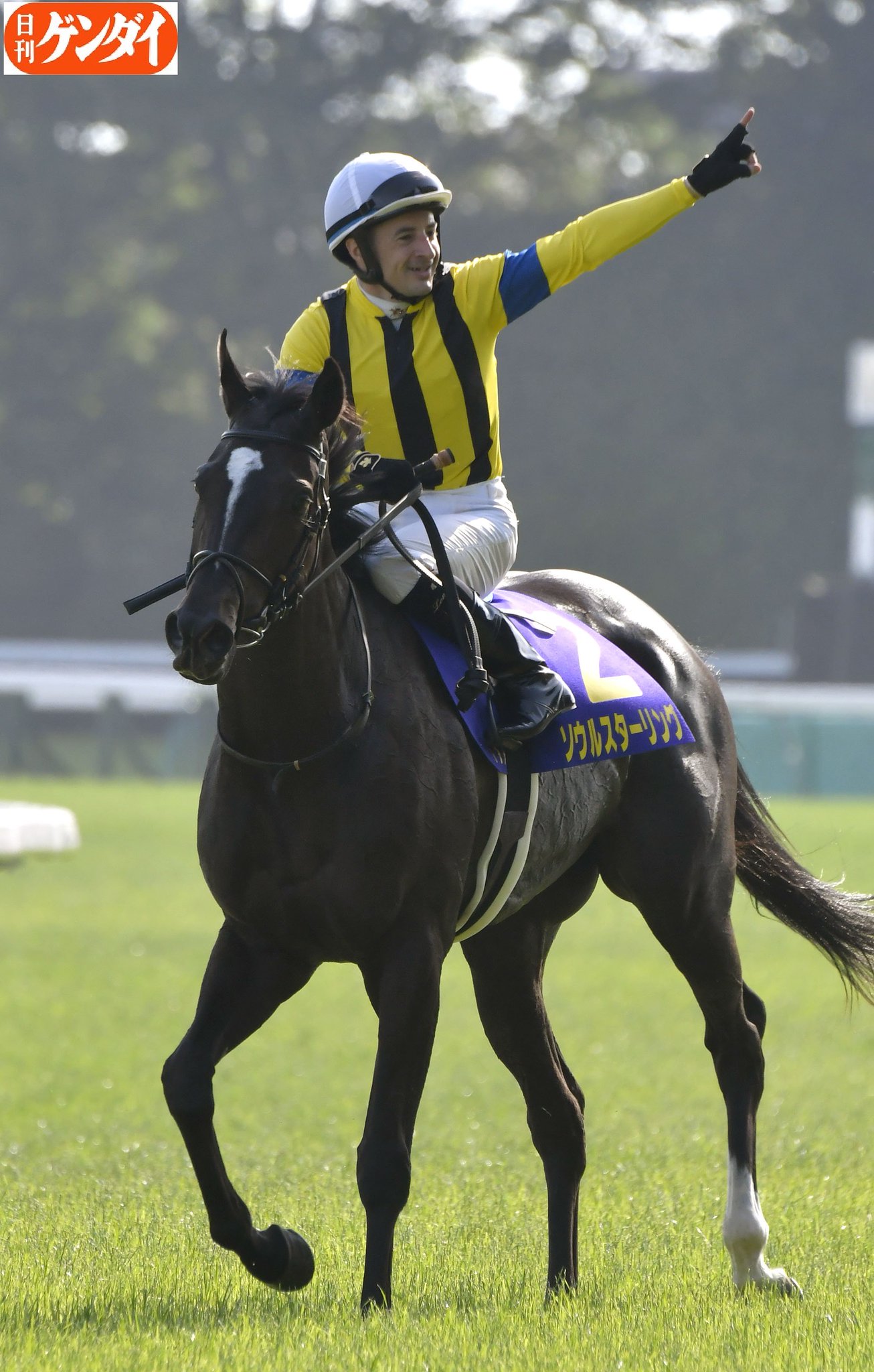 純正価格 - 競馬 ソウルスターリング オークス写真額入り C・ルメール