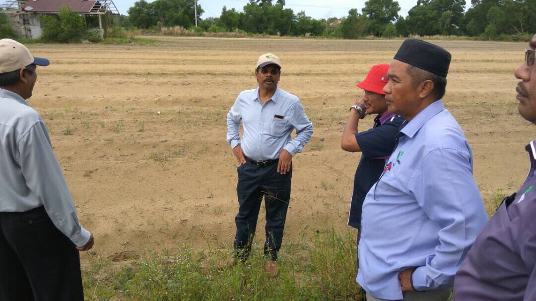 jabarsm's tweet photo. Lawatan kerja ke projek penanaman Grain Corn dan sesi engagement dgn peserta projek bawah PPK Kandis, Bachok https://t.co/wDtOvheeu7