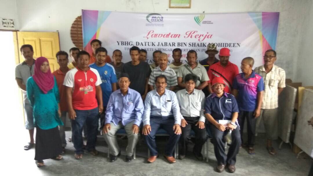 jabarsm's tweet photo. Lawatan kerja ke projek penanaman Grain Corn dan sesi engagement dgn peserta projek bawah PPK Kandis, Bachok https://t.co/wDtOvheeu7