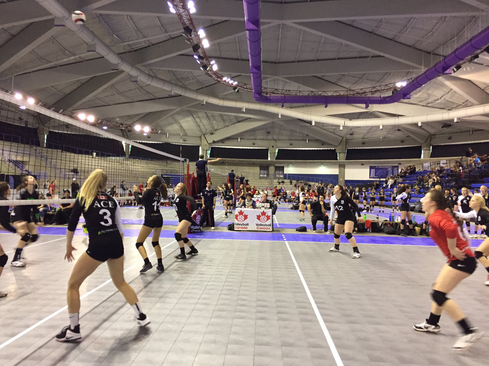 Volleyball Alberta on Twitter "It's SUNday VOLLEYday!! CGYNats