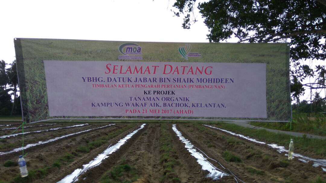 jabarsm's tweet photo. Lawatan kerja ke projek pertanian organik Kg Wakaf Aik, Bachok- pertanian organik berkembang subur di Kelantan https://t.co/ITwdusAtIA