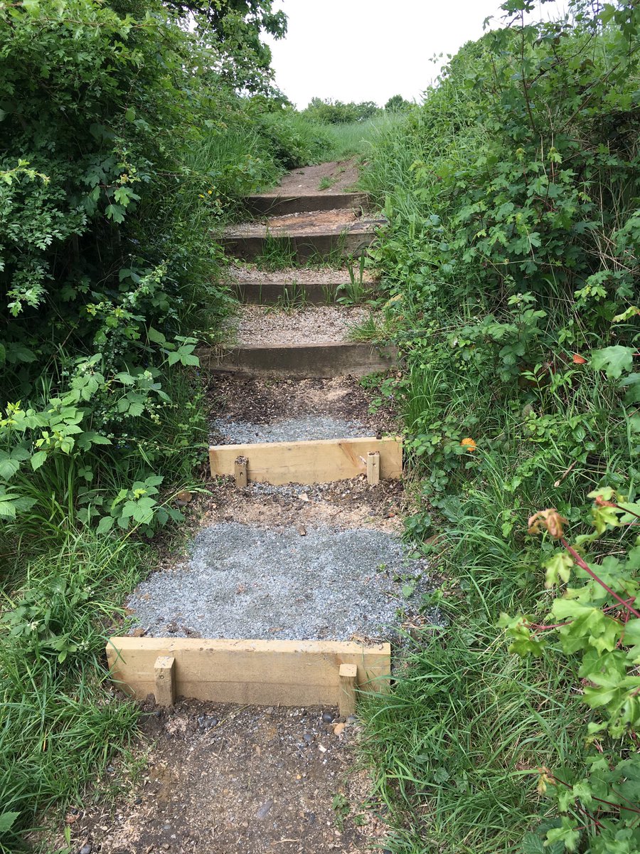 Thank you Croydon Council for repairing the stairs in #LloydPark Hole 10 on the #discgolf course