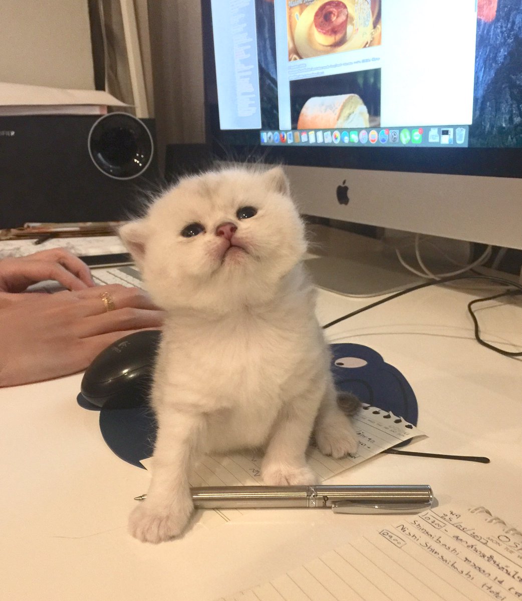 Bonusiie's tweet photo. ปากกาอันนี้ของเลา มีไรมะ? https://t.co/DAZ2C18OXm
