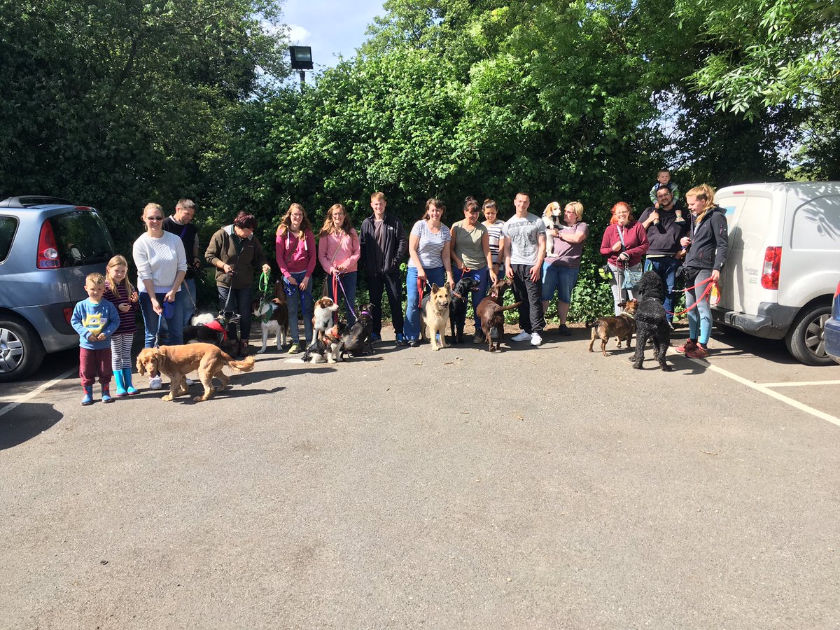 100Miles100Dogs's tweet photo. 100 Miles, 99 Dogs!!!! 1 more to meet!!! Look who showed up at Reading https://t.co/3M0P9Hf9lc