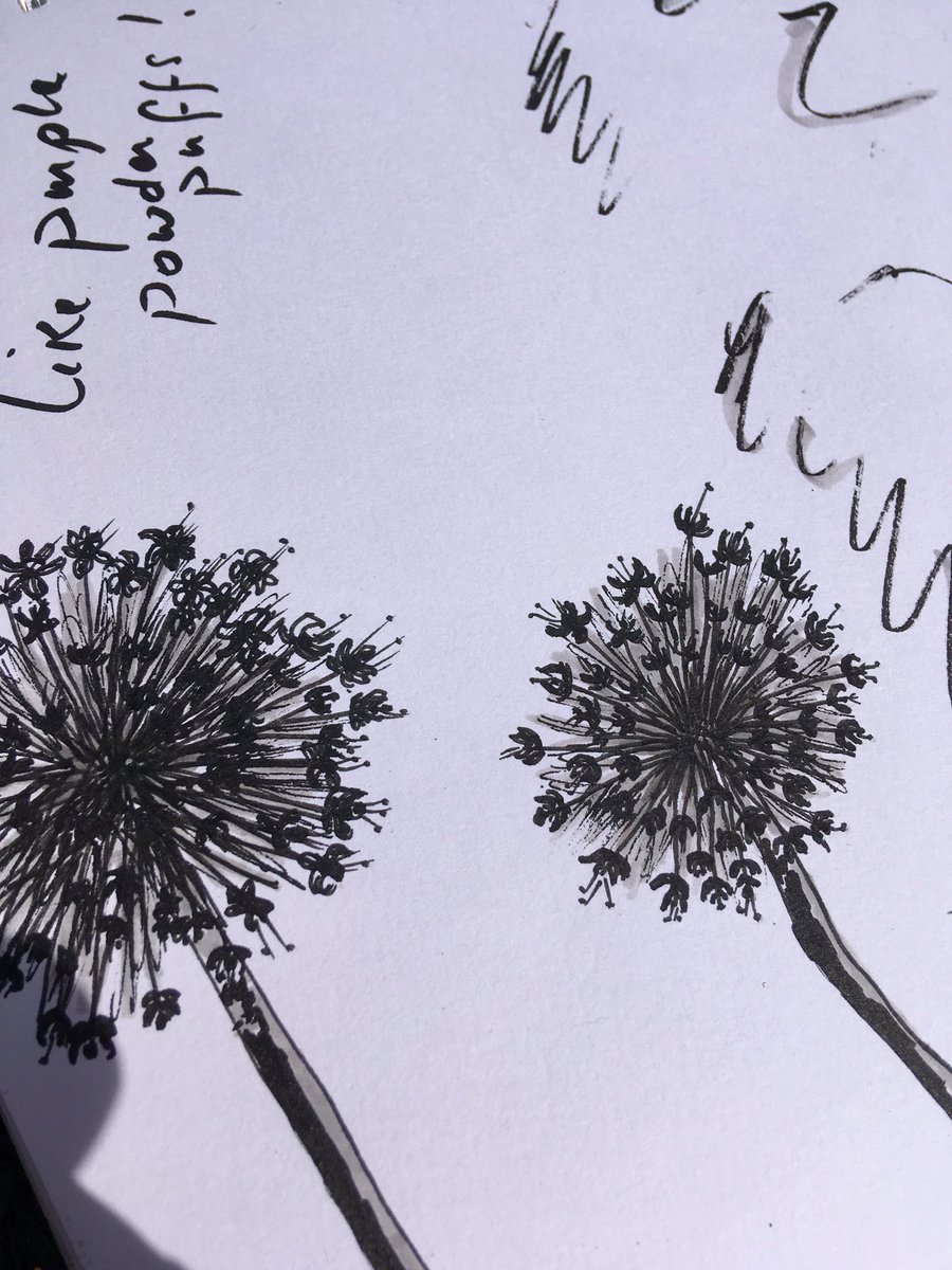 DalyDaly158's tweet image. Got a lot from @ArtWeekExeter diverse and inspiring art #exerer