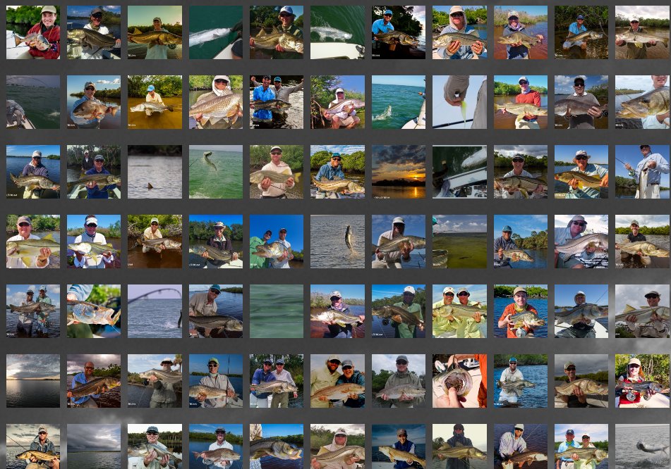 I know you want to look at some #Florida #flyfishing photos too seaandstream.com/Florida/florid… I don't know how, I just do. #tarpon #snook