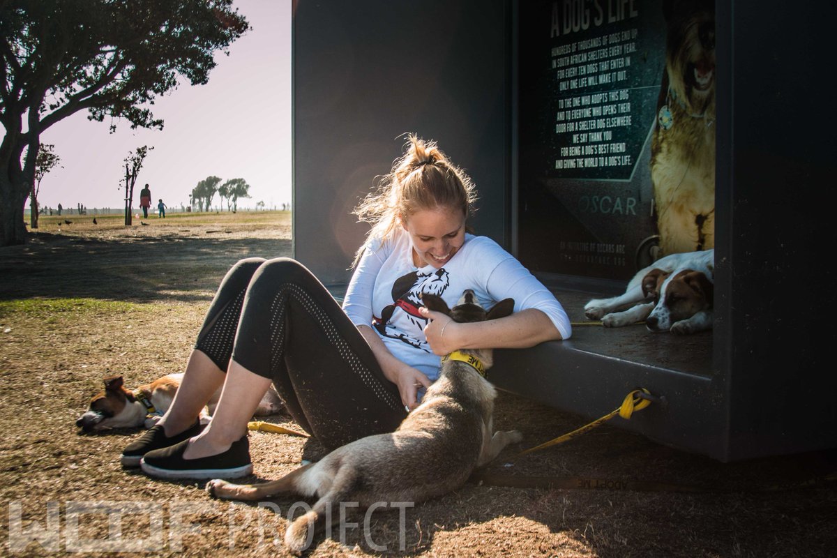 Happy_Biscuits's tweet photo. @OscarsArc #WoofProject Totally LOVE the work and dedication! THANK YOU and keep it up!
(Photos courtesy of mH Photography) https://t.co/X2I6ukiOp2