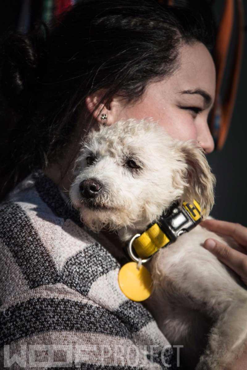 Happy_Biscuits's tweet photo. @OscarsArc #WoofProject Totally LOVE the work and dedication! THANK YOU and keep it up!
(Photos courtesy of mH Photography) https://t.co/uXJhW4my1W