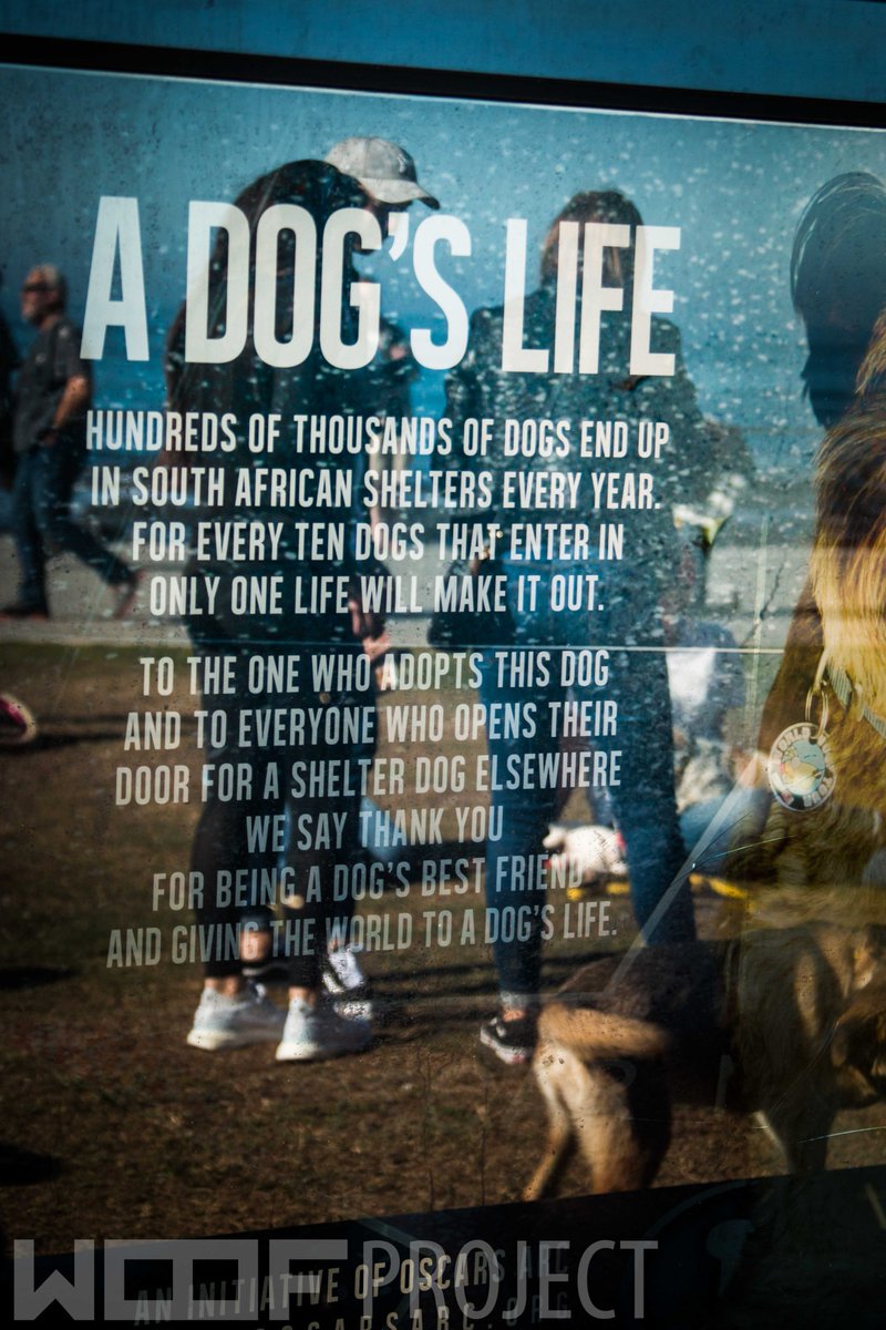 Happy_Biscuits's tweet photo. @OscarsArc #WoofProject Totally LOVE the work and dedication! THANK YOU and keep it up!
(Photos courtesy of mH Photography) https://t.co/uXJhW4my1W