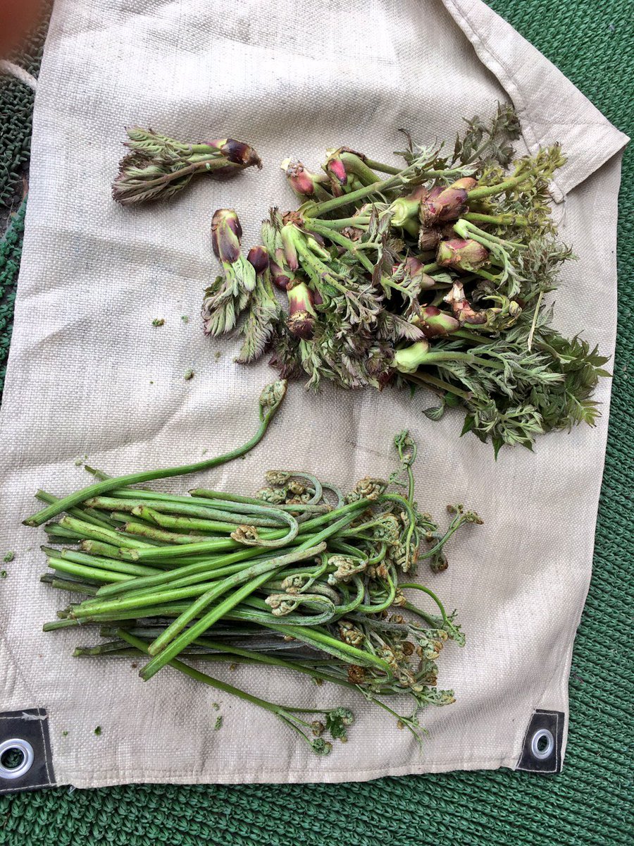 渡邉 遥香 J Haruharu Twitter