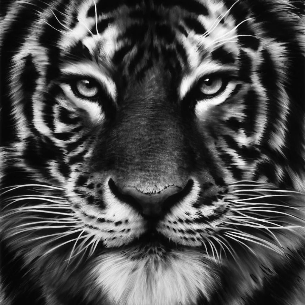 Robert Longo tweet media