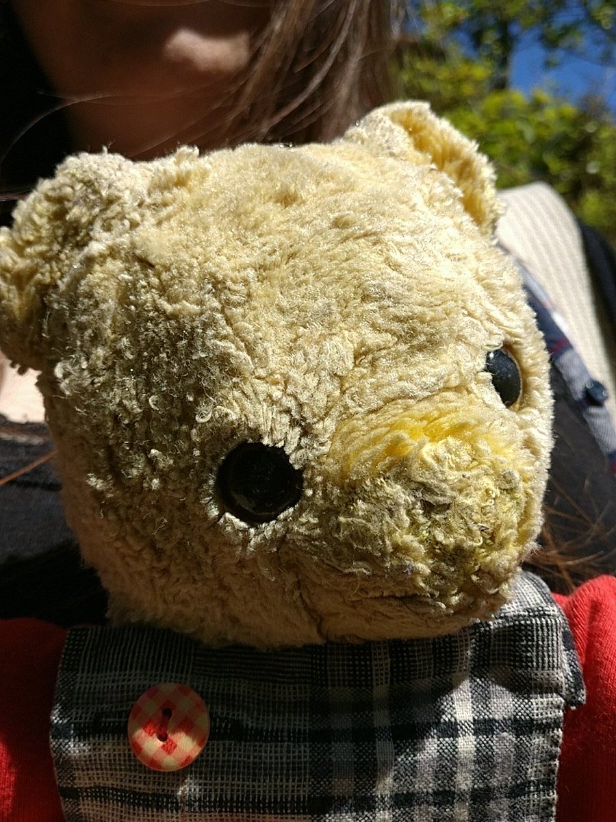 teddymartinbear's tweet photo. I'm back!!!!! https://t.co/uQKpsczVyD
