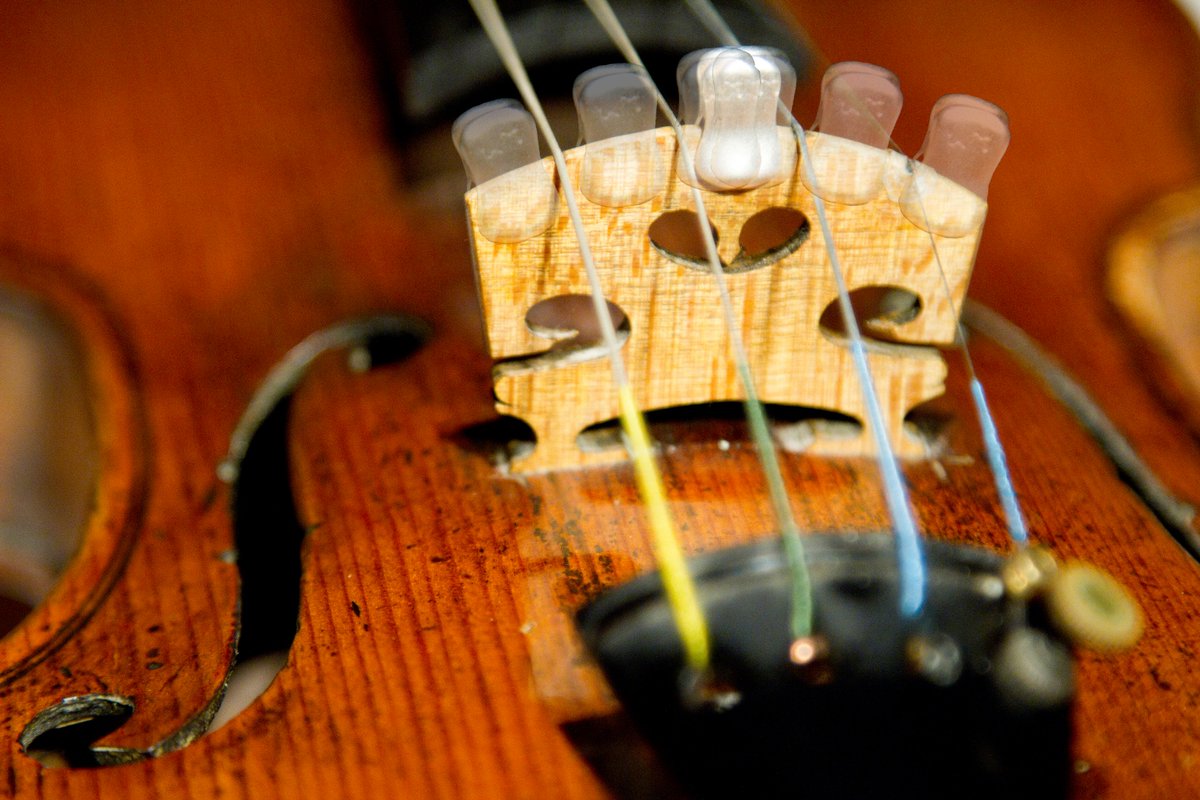 wmutes's tweet photo. Concert WMute bridge position. Check out all the possibilities at our facebook page! 
#mute #violin #viola #cello #soundcolors #handcrafted https://t.co/ms1hiWGVNU