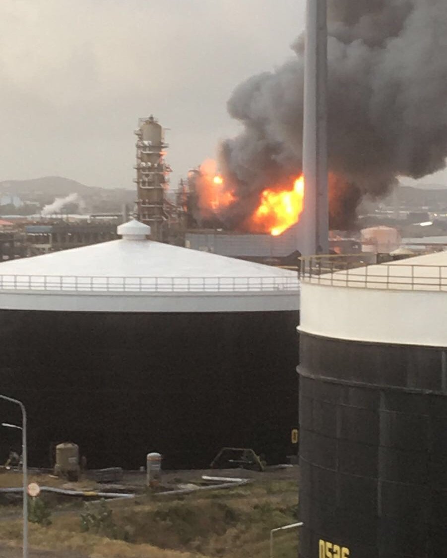 LDanieri tweet picture