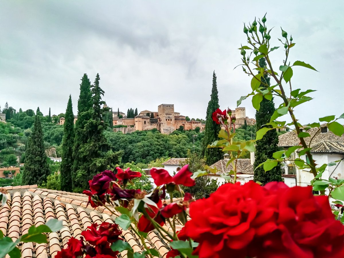 HusseinMPX's tweet photo. #alhambra #granada #mobilephoto https://t.co/QnJHfKg3HZ