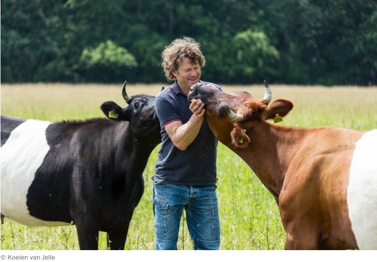 Pakhuis serveert: "Als je vlees eet, eet dan goed vlees". Dit is het verhaal achter de @Koeienvanjelle dezwijger.nl/update/van-bor…