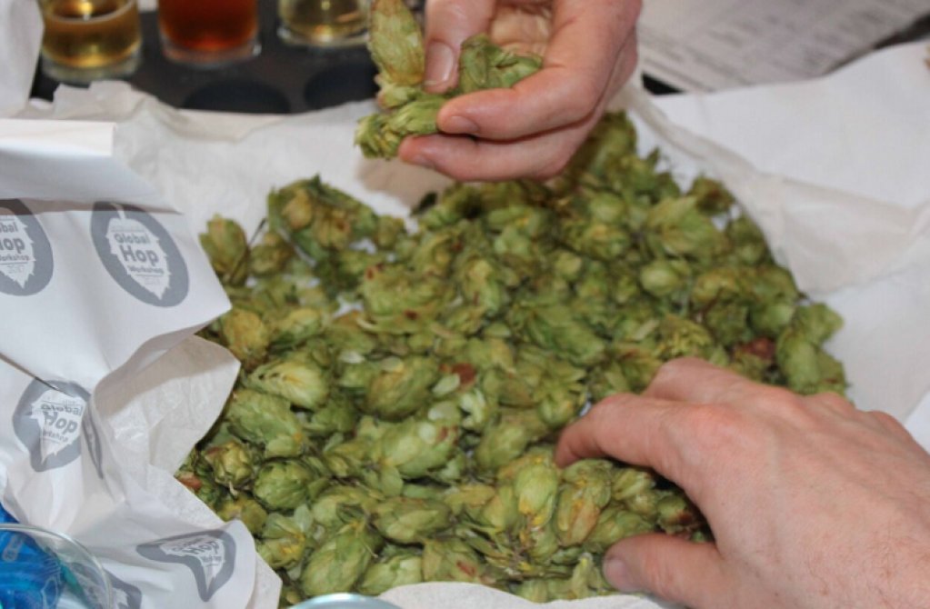 The True Import of South African Hops - <a href="/allaboutbeer/">All About Beer</a> buff.ly/2qK8BK8 #beer #cerveza