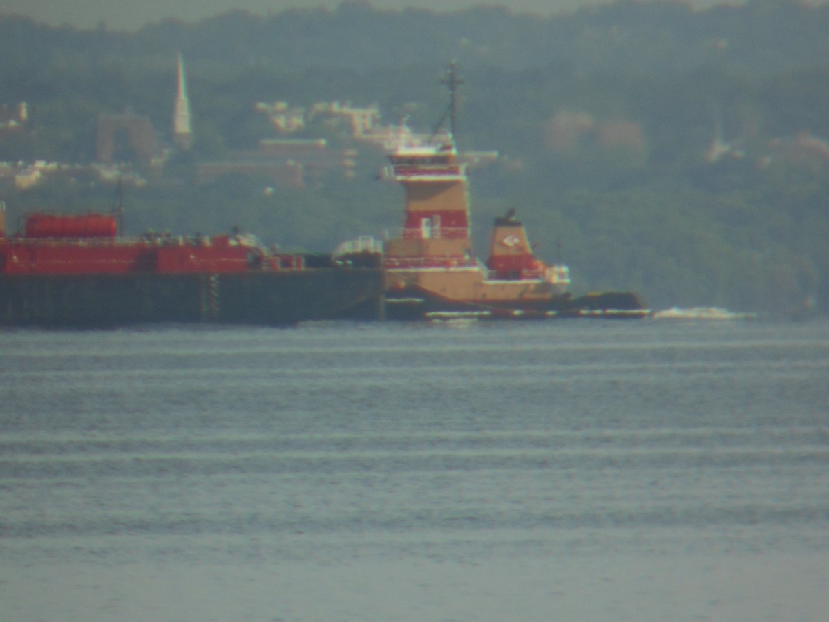 freightboy1's tweet photo. #Reinauer #tugboat DYLAN COOPER blt 2015 #Senesco w empty #fuel #barge downbound on LI Sound. features #Intercon coupler so sort of an #ATB https://t.co/UVNQCD4siv