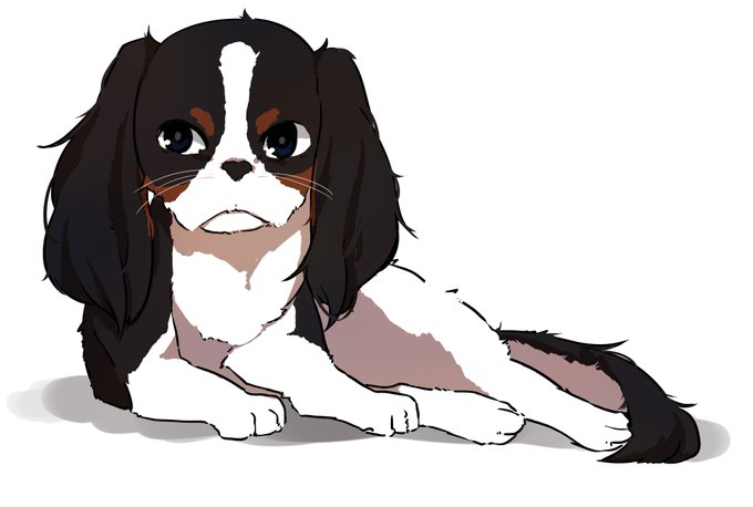 最新 キャバリア イラスト フリー キャバリア イラスト フリー