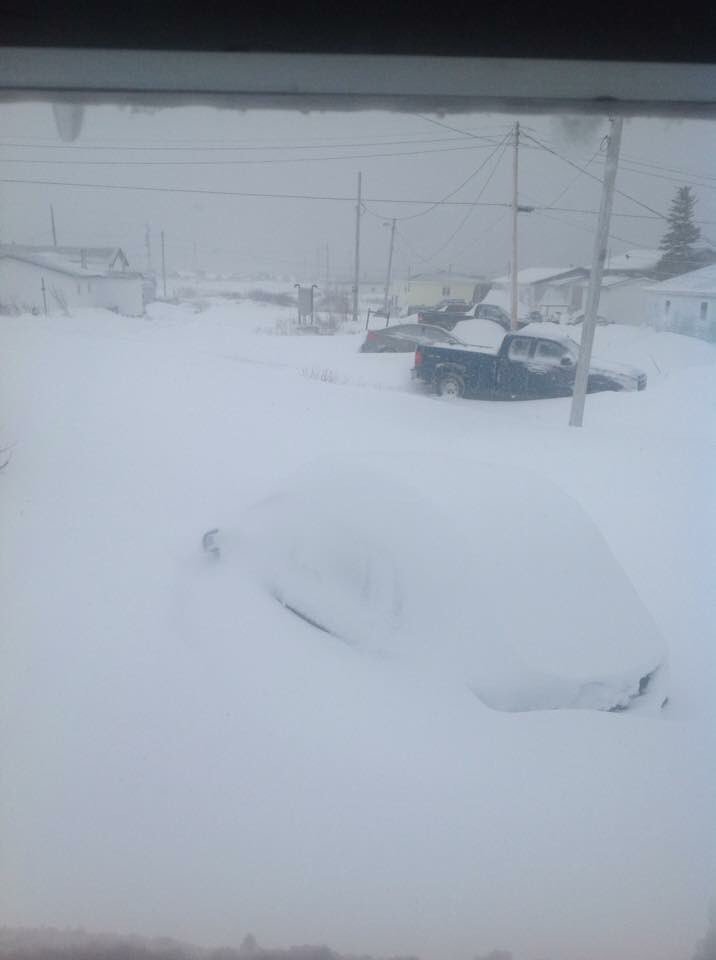 EddieSheerr's tweet image. If you look closely you can see a car in the driveway! Mel Pardy, in Cartwright, NL, shared this picture with me on Facebook! ! #NLwx