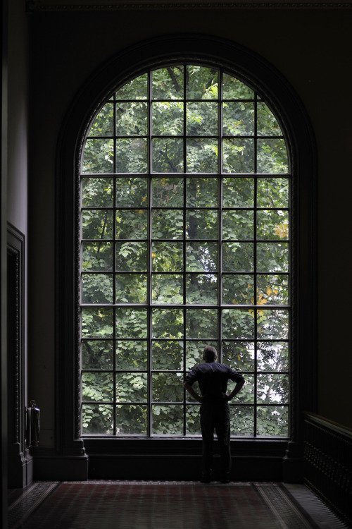 DurhamWASP's tweet photo. View from the V&amp;A https://t.co/hYcXR3lLk8