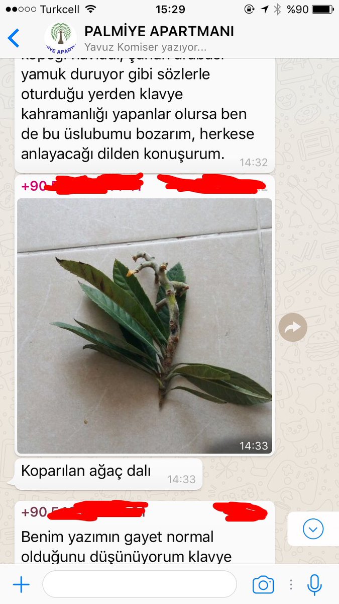 Bu pazarda tek eglencem apartman grubunda olusan kavga ve kaos ortami. Gundem: bahcedeki agacin meyvesinin daliyla birlikte koparilmasi