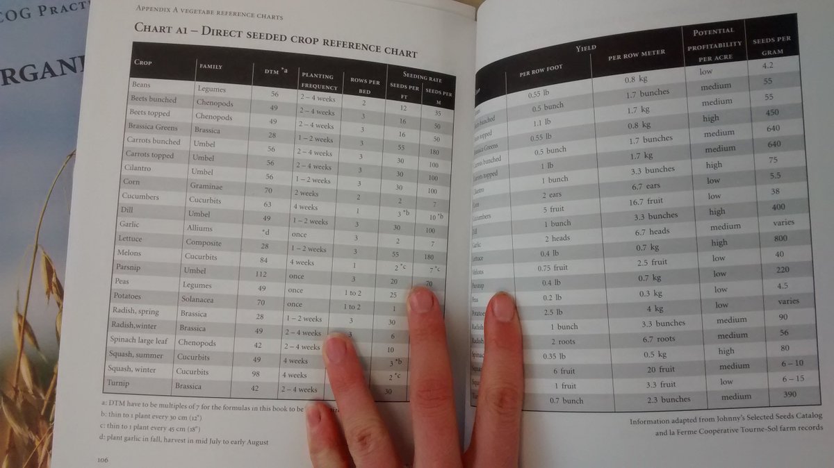 book origins imitation conventions representation in