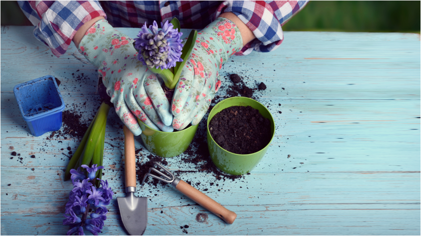 FudcoUK's tweet photo. Fancy a spot of gardening? Not only is it peaceful, but it's great exercise! Embrace the great outdoors. https://t.co/wDDvONBo2i