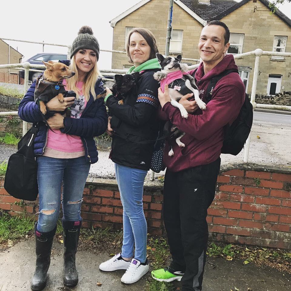 100Miles100Dogs's tweet photo. @Lorraine31947 Finished my 100 miles (with plenty of change). https://t.co/7QQOVYAOdB