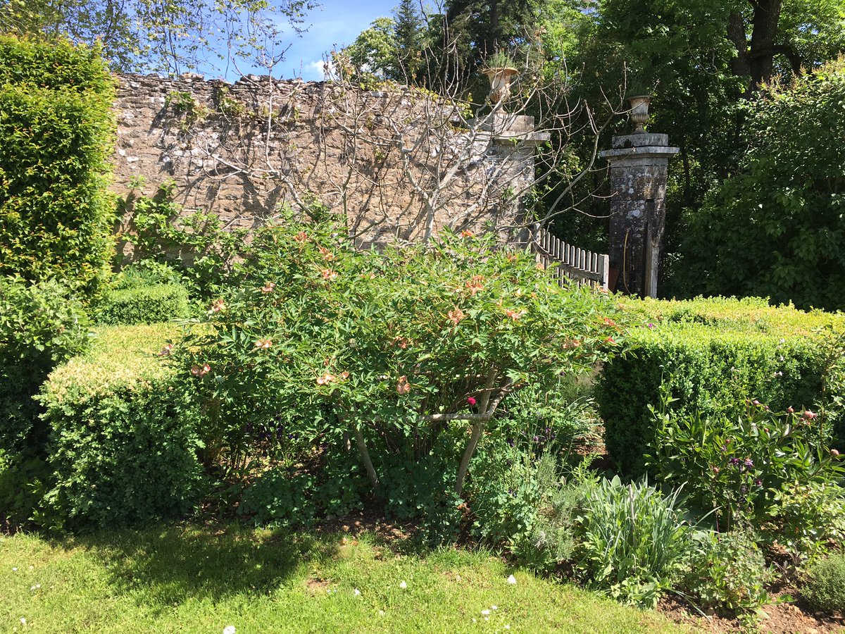alainhoupert's tweet photo. #Lantilly, son Jardin remarquable avec une superbe collection de pivoines arbustives https://t.co/oiX1oB0trB