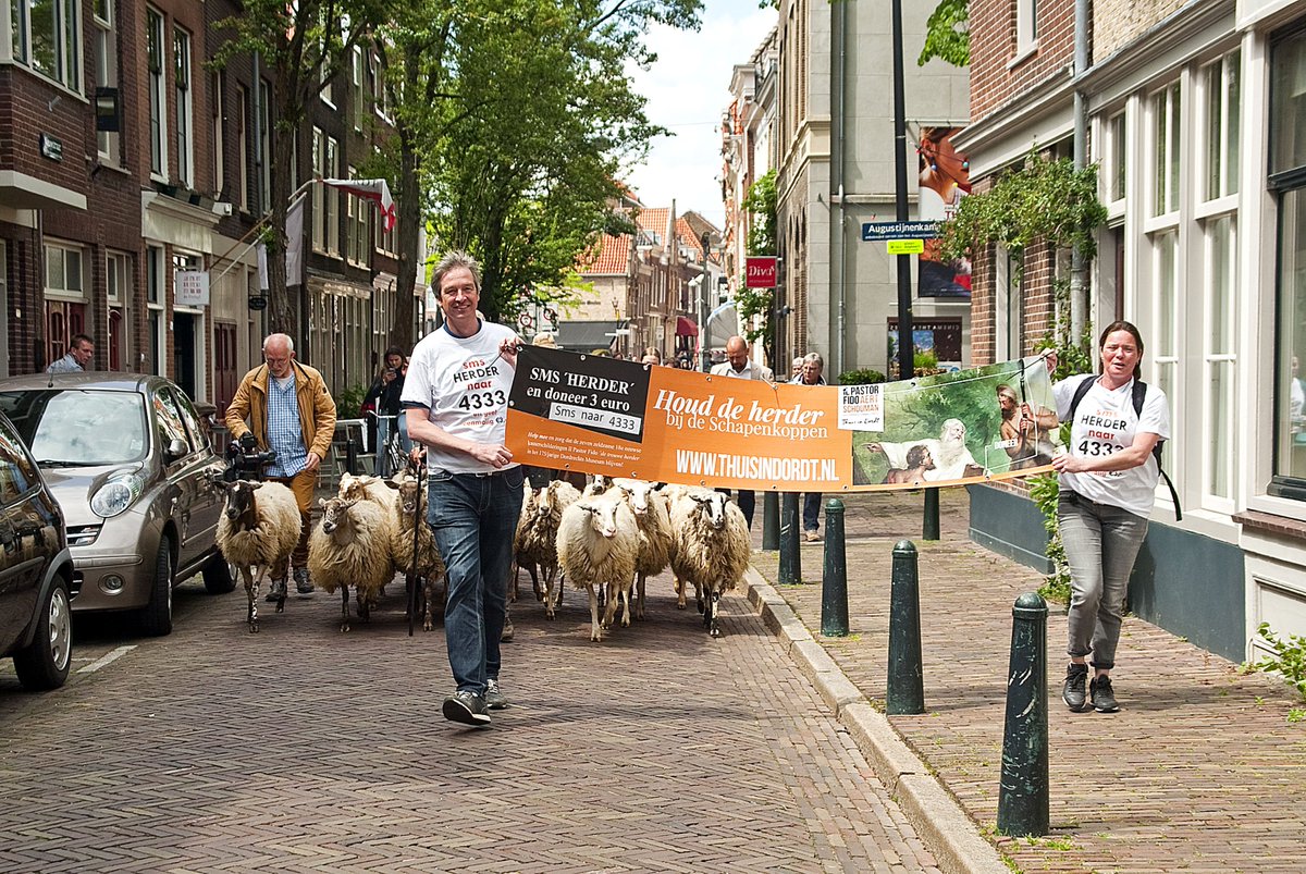 SMS 'Herder' naar 4333 en draag een steentje bij om de herder bij de #Schapenkoppen te houden! destemvandordt.nl/nieuws/algemee…